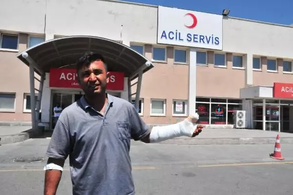 İç Anadolu'da 'acemi kasaplar' hastanelik oldu