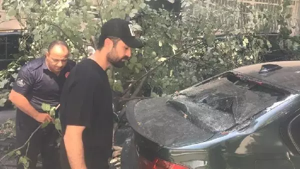 NİŞANTAŞI'NDA OYUNCUNUN OTOMOBİLİNİN ÜSTÜNE AĞAÇ DEVRİLDİ