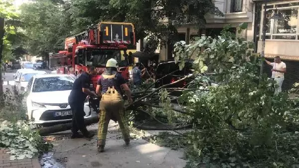 NİŞANTAŞI'NDA OYUNCUNUN OTOMOBİLİNİN ÜSTÜNE AĞAÇ DEVRİLDİ