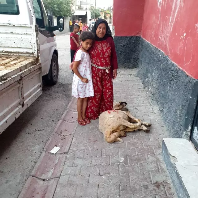 Öksüz ve yetimlere kurbanlık