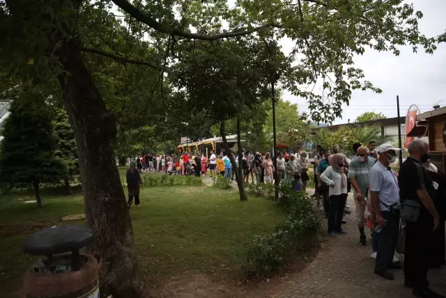 Ordu'da Kurban Bayramı'nın ilk gününde tatilciler teleferik için uzun kuyruklar oluşturdu