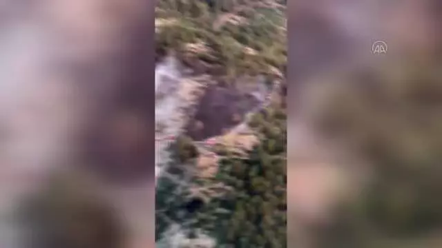 Ormanlık alanda çıkan yangın söndürüldü