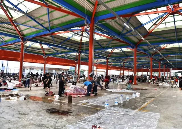 Osmangazi'de hijyenik kurban kesimi