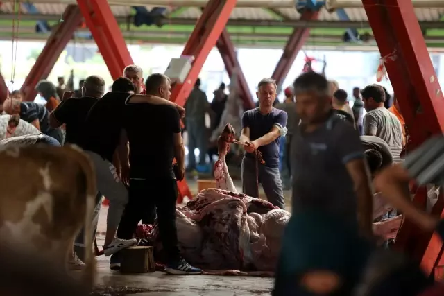 Oto pazarı değil, kurban pazarı