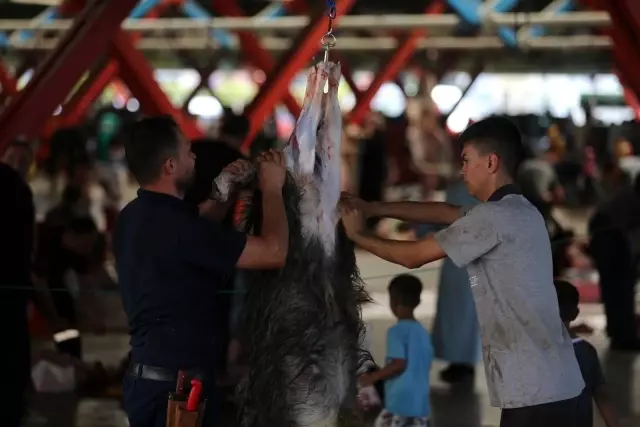 Oto pazarı değil, kurban pazarı