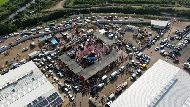 Oto pazarı değil, kurban pazarı