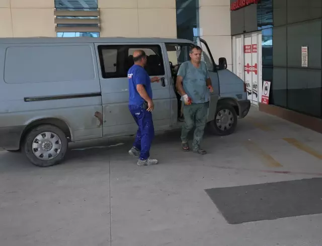 Son dakika haber: 'Acemi kasaplar' hastanelik oldu