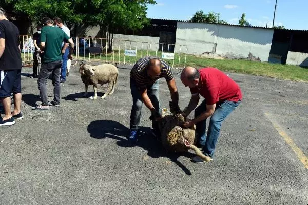 Salgın tedbiri için pazarda değil mezbahada kesime izin verildi