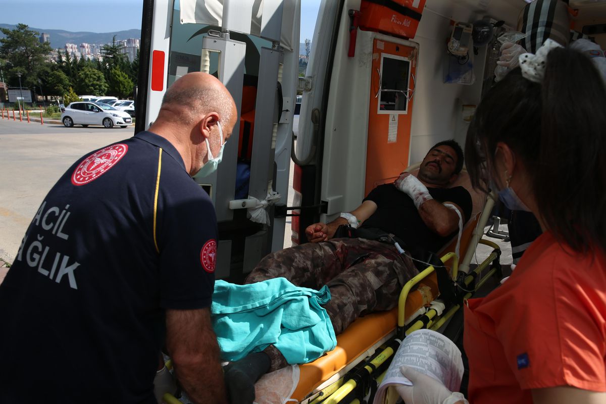 Samsun ve çevre illerde 'acemi kasaplar' hastanelik oldu