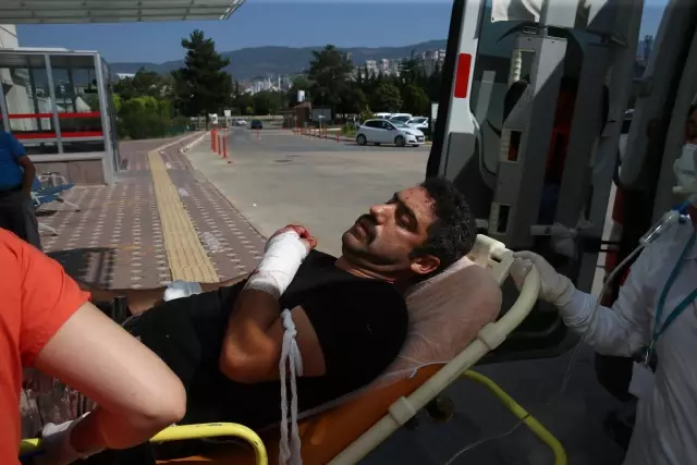 Samsun ve çevre illerde "acemi kasaplar" hastanelik oldu 1 Samsun ve çevre illerde 'acemi kasaplar' hastanelik oldu