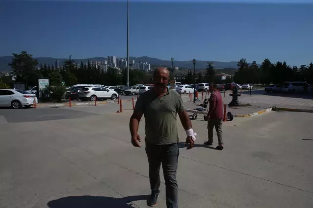 Samsun ve çevre illerde "acemi kasaplar" hastanelik oldu 2 Samsun ve çevre illerde 'acemi kasaplar' hastanelik oldu