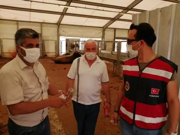 Son dakika! SANCAKTEPE'DE JANDARMA KURBAN SATIŞ VE KESİM YERLERİNİ DENETLEDİ