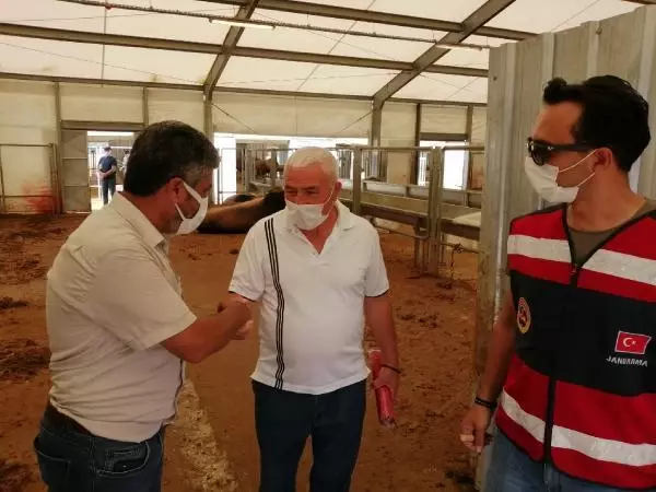 Son dakika! SANCAKTEPE'DE JANDARMA KURBAN SATIŞ VE KESİM YERLERİNİ DENETLEDİ