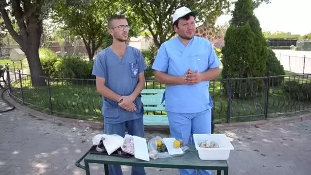 Sıcaktan bunalan hayvanlara buzlu et ve meyve kokteyli Sıcaktan bunalan hayvanlara buzlu et ve meyve kokteyli