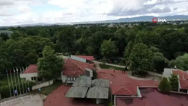 Sıcaktan bunalan Zoopark sakinlerine buzlu meyve kokteyli