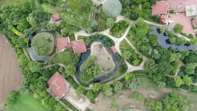 Sıcaktan bunalan Zoopark sakinlerine buzlu meyve kokteyli
