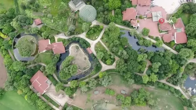 Sıcaktan bunalan Zoopark sakinlerine buzlu meyve kokteyli