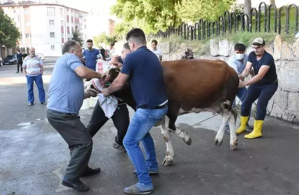 Sivas'ta acemi kasaplar, kendilerini yaraladı