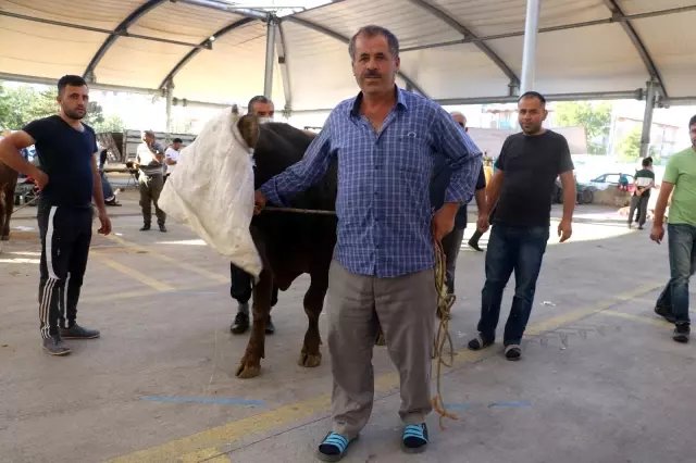 Sivas'ta kurban kesim heyecanı