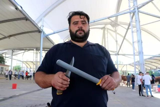 Sivas'ta kurban kesim heyecanı