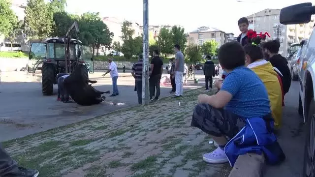 Sivas'ta acemi kasaplar, kendilerini yaraladı