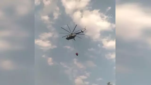 Soğutma çalışması süren ormanlık alandaki yangın yeniden alevlendi
