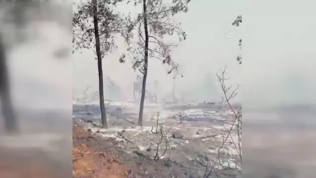 Soğutma çalışması süren ormanlık alandaki yangın yeniden alevlendi