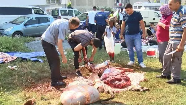 SULTANGAZİ'DE KAÇAK KURBAN KESENLERE CEZA