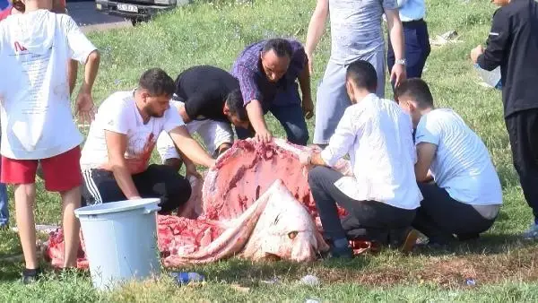 SULTANGAZİ'DE KAÇAK KURBAN KESENLERE CEZA