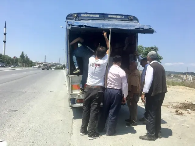 Sultangazi'de kaçan kurbanlığı yakalama çabası drone ile görüntülendi