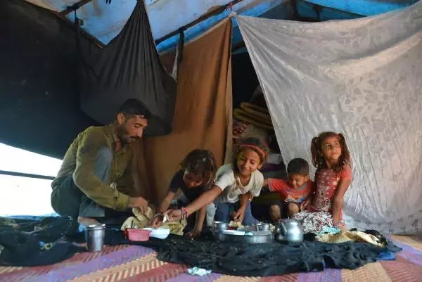 TARIMIN İSİMSİZ KAHRAMANLARI, ÇUKUROVA'NIN SARI SICAĞINDA ÇALIŞARAK BAYRAMI KARŞILADI