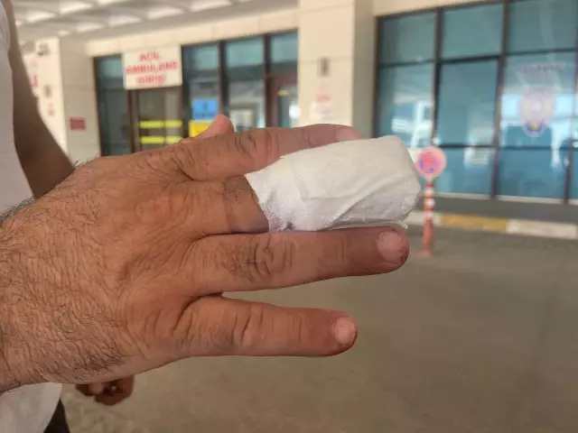 Trakya'da acemi kasaplar hastanelik oldu Trakya'da acemi kasaplar hastanelik oldu