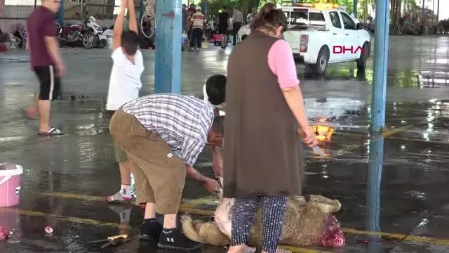 TURİZM KENTİ ANTALYA'DA BELEDİYELERİN HAZIRLADIĞI KURBAN KESİM YERLERİ YOĞUN İLGİ GÖRDÜ TURİZM KENTİ ANTALYA'DA BELEDİYELERİN HAZIRLADIĞI KURBAN KESİM YERLERİ YOĞUN İLGİ GÖRDÜ