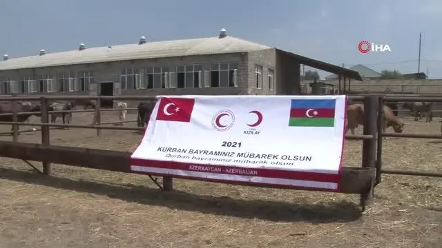 Türk Kızılayı, Diyanet İşleri Başkanlığı ve Diyanet Vakfı Azerbaycan'da ihtiyaç sahipleri için kurban kesti Türk Kızılayı, Diyanet İşleri Başkanlığı ve Diyanet Vakfı Azerbaycan'da ihtiyaç sahipleri için kurban kesti