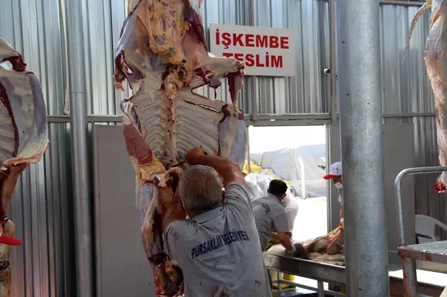 Türkiye'de ilk: Kurban kesim alanı çevrim içi olarak takip ediliyor