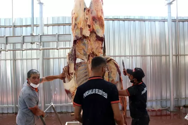 Türkiye'de ilk: Kurban kesim alanı çevrim içi olarak takip ediliyor