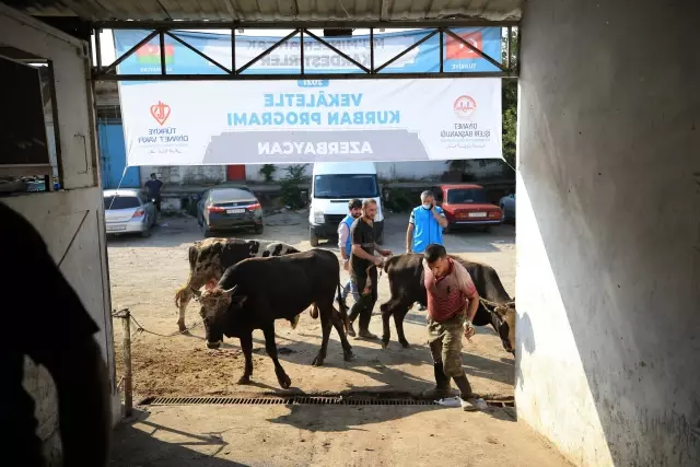 Türkiye Diyanet Vakfı, Azerbaycan'da kurban bağışında bulundu