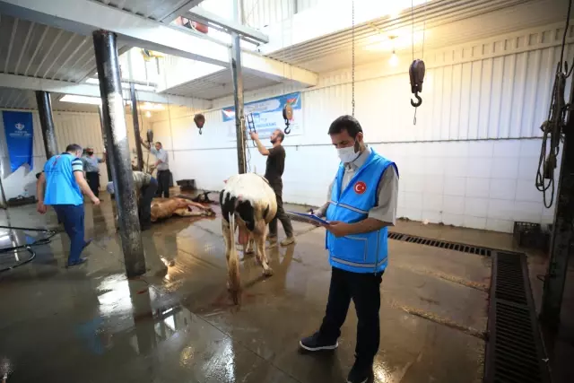 Türkiye Diyanet Vakfı, Azerbaycan'da kurban bağışında bulundu