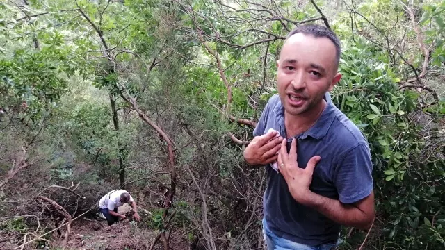 Uçuruma yuvarlanan büyükbaş hayvanı kurtaramayınca, çareyi kesmekte buldular