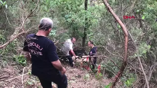 UÇURUMA YUVARLANAN KURBANLIK BÜYÜKBAŞ ÇIKARILAMAYINCA, OLDUĞU YERDE KESİLDİ UÇURUMA YUVARLANAN KURBANLIK BÜYÜKBAŞ ÇIKARILAMAYINCA, OLDUĞU YERDE KESİLDİ