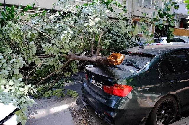 Ünlü oyuncunun lüks aracının üzerine ağaç devrildi Ünlü oyuncunun lüks aracının üzerine ağaç devrildi