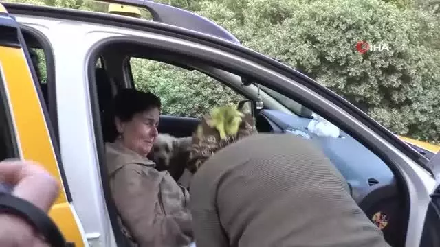 Son dakika haberi: Ünlü yeşilçam oyuncusu Fatma Girik hastaneye kaldırıldı Son dakika haberi: Ünlü yeşilçam oyuncusu Fatma Girik hastaneye kaldırıldı