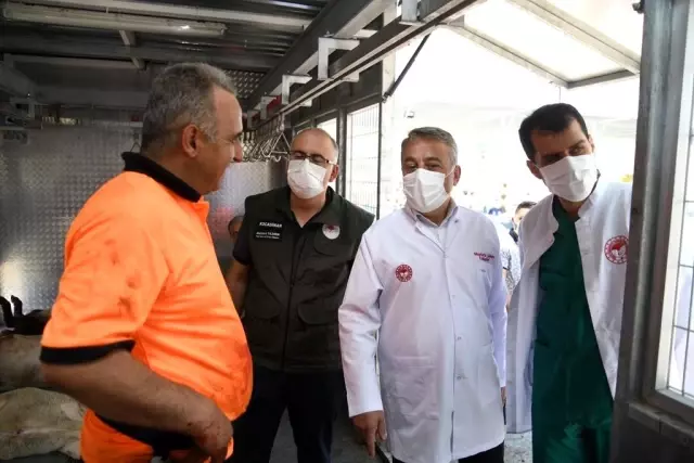 Yaklaşık 200 veteriner hekim kurban kesim yerlerinde görev yaptı