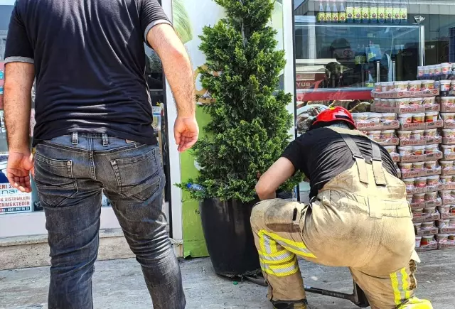Yenişehir'de hayvan kurtarma Yenişehir'de hayvan kurtarma