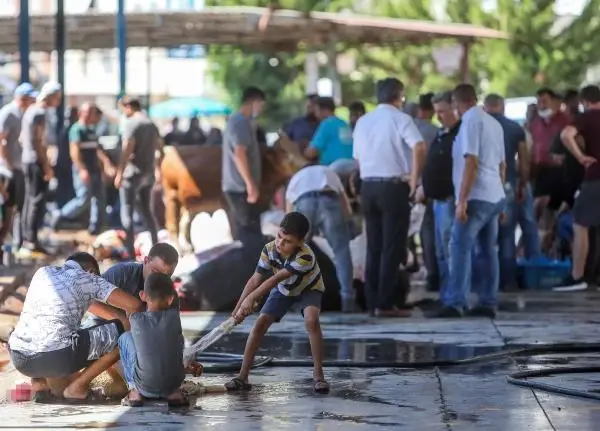 Son dakika haber! Yetişkinler kurban kesti, çocuklar izledi