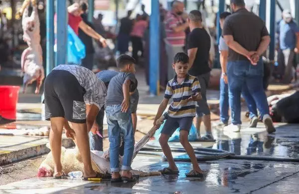 Son dakika haber! Yetişkinler kurban kesti, çocuklar izledi