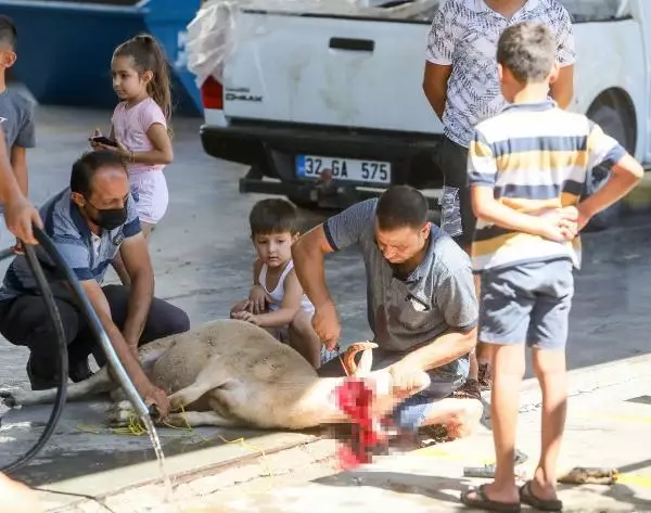 Son dakika haber! Yetişkinler kurban kesti, çocuklar izledi