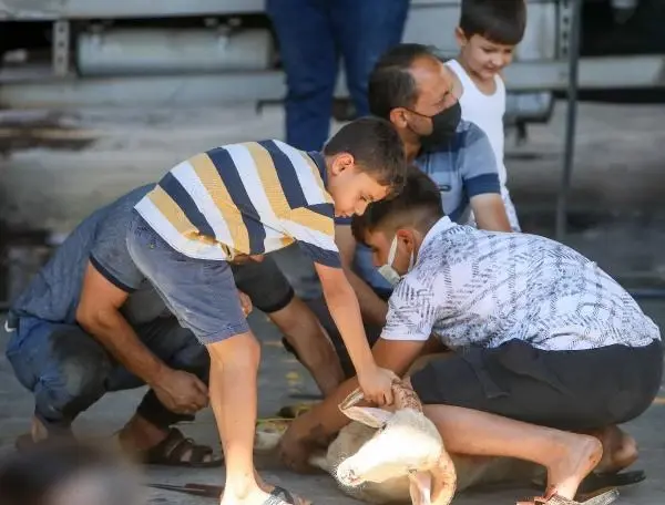 Son dakika haber! Yetişkinler kurban kesti, çocuklar izledi