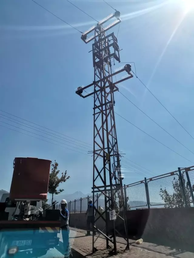 Yüksek gerilim hattına konan kargalar yangına neden oldu
