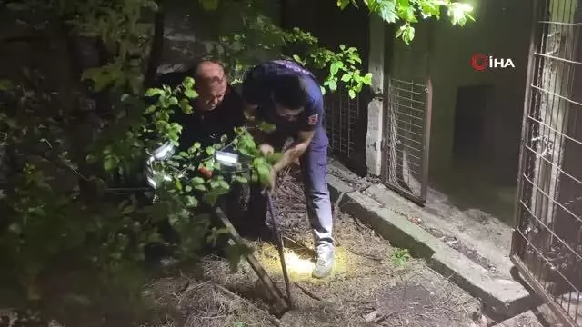 Son dakika haberi: 2 metre çukur kazarak 3 saatte kediyi kurtardılar